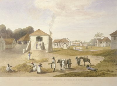 Mill Yard, Holland Estate, St. Thomas idässä tekijältä James Hakewill