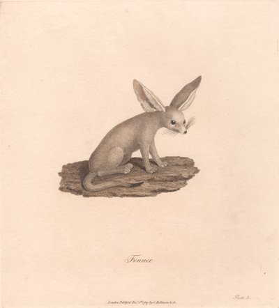Fennec tekijältä James Heath