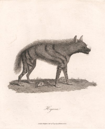 Hyoena tekijältä James Heath