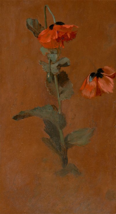 Unikkotutkimus, 1832. tekijältä James Inskipp