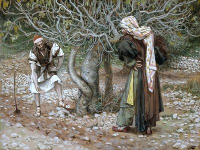 Karu viikunapuu, kuvitus teokseen The Life of Christ, n. 1886-1894 (wc ja guassi pahville) tekijältä James Jacques Joseph Tissot