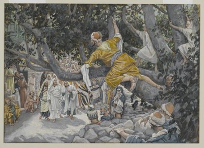 Sakkeus sycamoressa odottamassa Jeesuksen kulkua, kuva Herramme Jeesuksen Kristuksen elämästä, 1886-96 (wc grafiitin päällä paperilla) tekijältä James Jacques Joseph Tissot