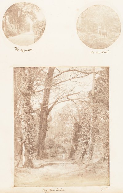 Lähestymistapa, Metsässä, Järven rannalla, 1853-56. tekijältä James Knight