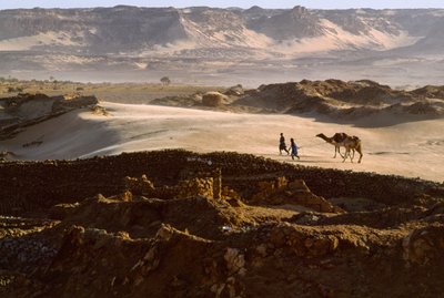 Kameli ja suolakaravaanin jäsenet ylittävät aavikkotasangon BILMAssa, NIGERISSÄ. BILMA, NIGER. tekijältä James L Stanfield
