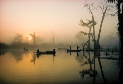 Lokakuun aurinko polttaa aamusumun pois Alligator Bayoun yllä Louisianan suistossa, joten... tekijältä James L Stanfield