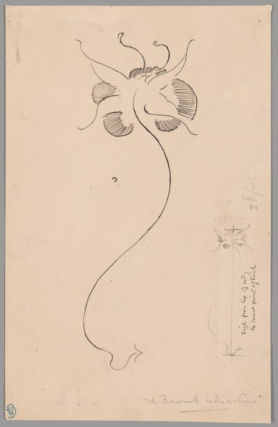 Perhonen (etusivu); perhosselostus (kääntöpuoli). tekijältä James McNeill Whistler