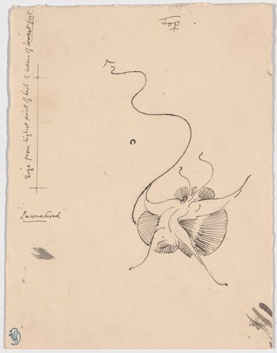Perhonen "Encountered" (etusivu); luonnos perhosen takakappaleeksi (kääntöpuoli). tekijältä James McNeill Whistler