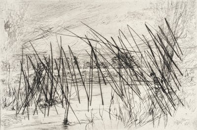  tekijältä James McNeill Whistler