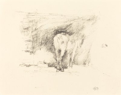 Hevosen tutkimusHevosen tutkimus tekijältä James Abbott McNeill Whistler