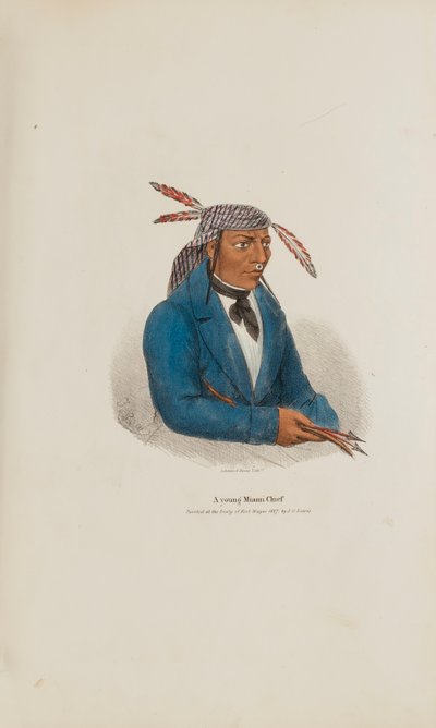Nuori Miami-päällikkö, Aboriginaalien portfoliosta tekijältä James Otto Lewis