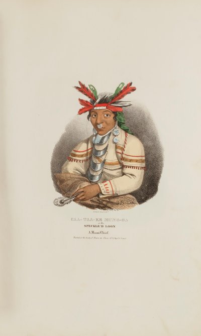 CAA-TAA-KE MUNG-GA eli Speckle