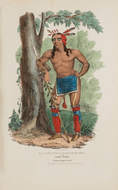 KAA-NUN-DER-WAAGUINSE-ZOO eli Marjanpoimija; Kuuluisa chippewa-päällikkö, Aboriginaalien portfoliosta. tekijältä James Otto Lewis