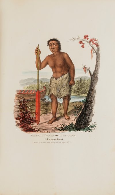 MEN-DOW-MIN eli Maissi; Chippewa-kääpiö, Aboriginaalien salkusta. tekijältä James Otto Lewis