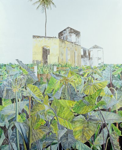 Ruin in a Swamp, Haiti, 1971 tekijältä James Reeve