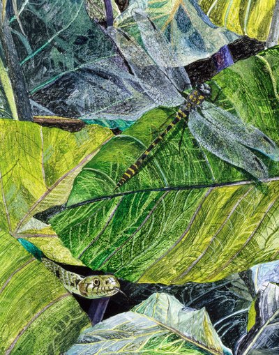 Water Snake and Dragon-fly, 1971 tekijältä James Reeve