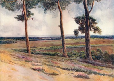 "Näkymä Staple Hilliltä", 1911, 1914 tekijältä James S Ogilvy