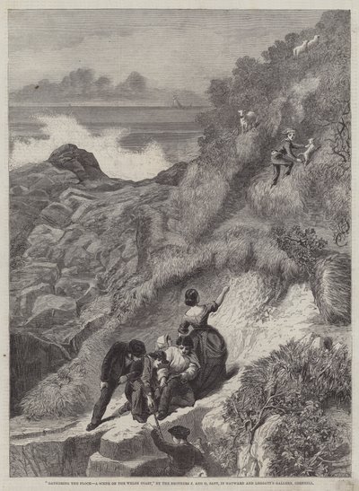 Gathering the Flocks, kohtaus Walesin rannikolla tekijältä James Sant