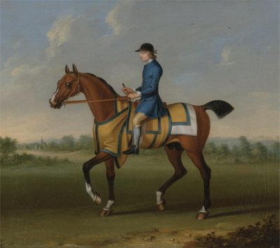 A Bay Racehorse ja Jockey Up (öljy kankaalle) tekijältä James Seymour