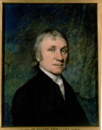 Dr. Joseph Priestley, n. 1790 (pastelli harmaalle paperille) tekijältä James Sharples