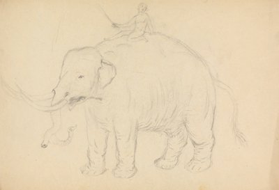 Elefante com Riderfinnish tekijältä James Sowerby