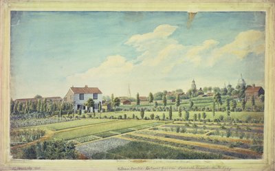 William Curtisin kasvitieteellinen puutarha, Lambeth Marsh, n. 1787 (akvarelli paperille) tekijältä James Sowerby