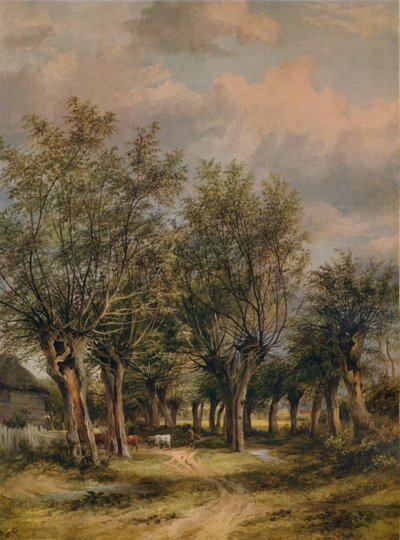 Lane lähellä Norwichia, c1837 tekijältä James Stark