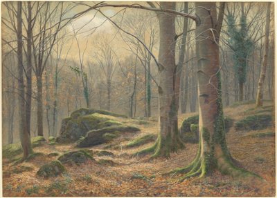 Talviaamu, huurteen sulaminen tekijältä James Thomas Watts