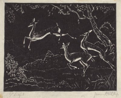Lento (puupainatus) tekijältä James W. Reid