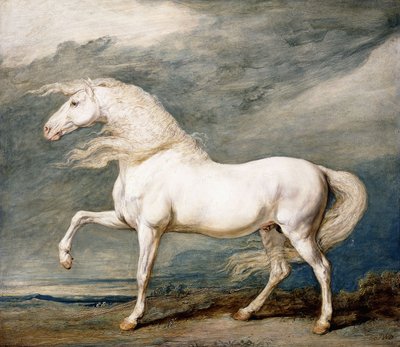 Adonis, kuningas George III:n suosikkilaturi, tekijältä James Ward