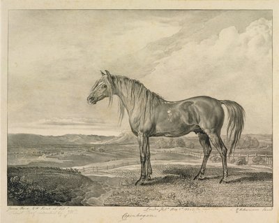Kööpenhamina, "Celebrated Horses" -sarjasta, taiteilijan julkaisemasta neljätoista kilpakuvasarjasta, 1823-24 tekijältä James Ward