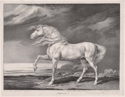 Neljätoista juhlittua hevosta: Adonis, 1824. tekijältä James Ward