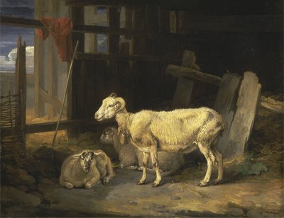 Heath Ewe ja Lambs tekijältä James Ward