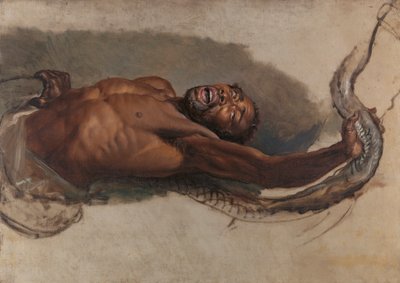 Mies kamppailee Boa Constrictorin kanssa, tutkimus "Liboya-käärme kaappaa saaliinsa" tekijältä James Ward
