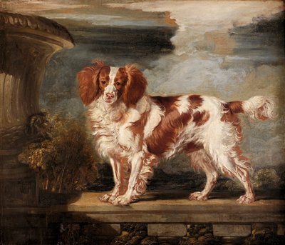Portrait of Dash, suosikki spanieli, Lady Frances Vane-Tempestin omaisuus tekijältä James Ward