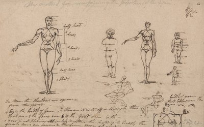 Anatomian, mittausten ja kirjoittamisen opinnot tekijältä James Ward