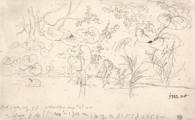 Studies of Plants, 2. elokuuta 1815 tekijältä James Ward