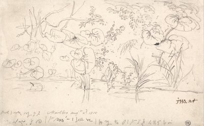 Studies of Plants, elokuu 2, 1815 tekijältä James Ward
