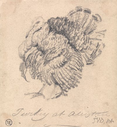 Turkin tutkimus tekijältä James Ward