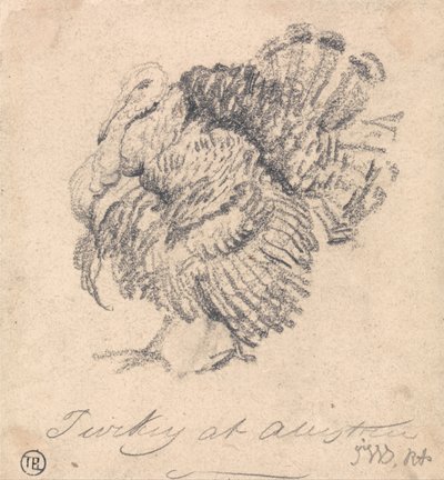Turkki-tutkimus tekijältä James Ward