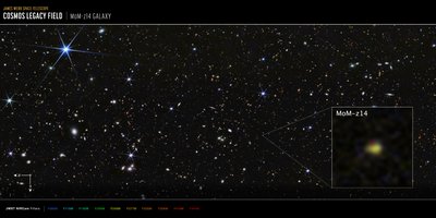 COSMOS-kentän MoM-z14-galaksi (NIRCam-kuva) tekijältä James Webb Space Telescope (NASA)
