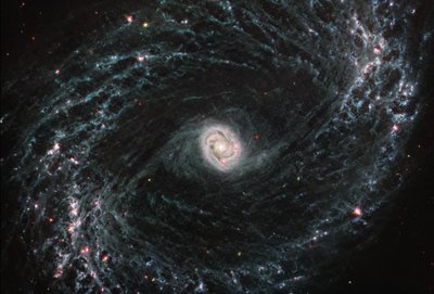 NGC 1433 (MIRI-kuva) tekijältä James Webb Space Telescope (NASA)