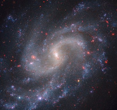 NGC 5584 (Webb NIRCam + Hubble WFC3) tekijältä James Webb Space Telescope (NASA)
