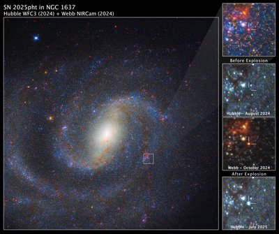 SN 2025pht NGC 1637:ssa tekijältä James Webb Space Telescope (NASA)