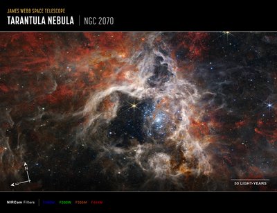 Tarantula-sumu (NIRCam-kompassikuva) tekijältä James Webb Space Telescope (NASA)