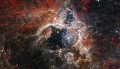 Tarantula-sumu (NIRCam-kuva) tekijältä James Webb Space Telescope (NASA)