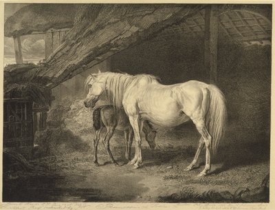 Primrose and Foal, Celebrated Horsesista, sarja neljätoista kilpajulistetta, jonka taiteilija julkaisi, 1823-24 tekijältä James after Ward
