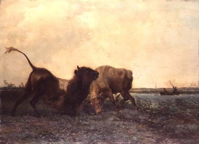 Bulls Fighting tekijältä Jan Bedys Tom