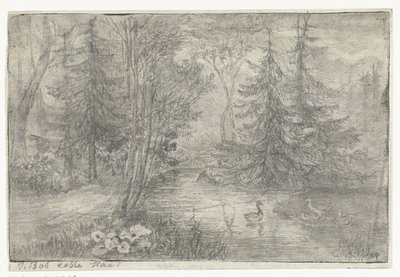 Metsälampi ankkojen kanssa tekijältä Jan Bos Wz. (signed by artist)