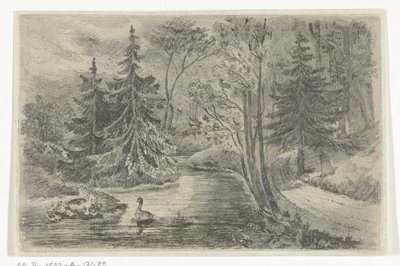 Metsäpolku lammen rannalla ankoilla tekijältä Jan Bos Wz.