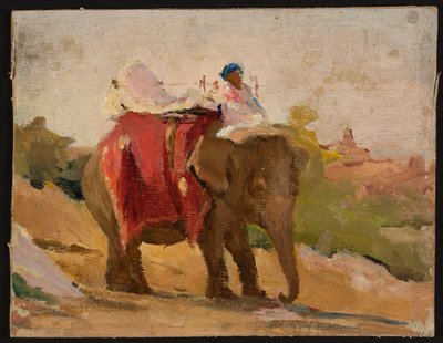 Chittorgarh - norsuni. Intian-matkalta tekijältä Jan Ciągliński